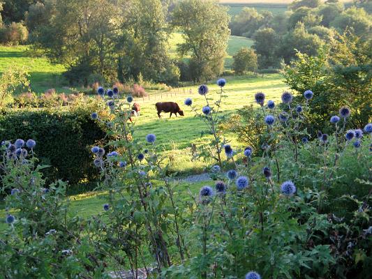 Surrounding countryside I